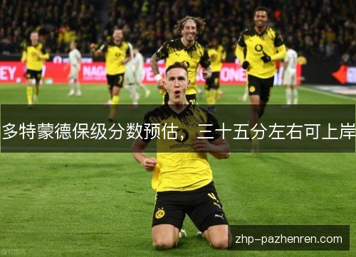 多特蒙德保级分数预估，三十五分左右可上岸